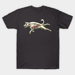 Golden Dog T-Shirt